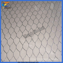 Anping Haute qualité et nouvelle conception Gabion Wire Mesh